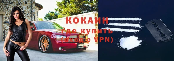 PSILOCYBIN Гусев