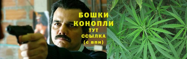 бутират Гусь-Хрустальный