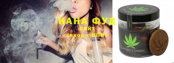 гидра Гусиноозёрск