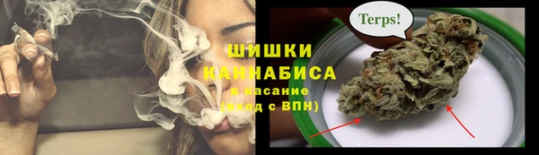бутират Гусь-Хрустальный