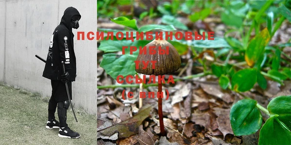 дурь Дмитриев