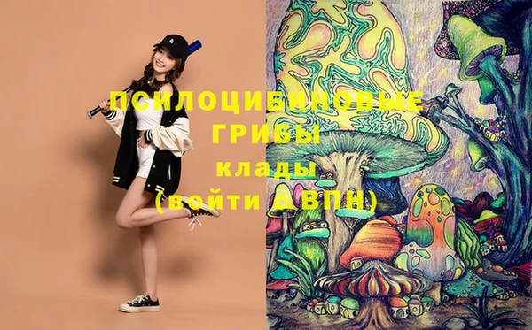 PSILOCYBIN Гусев