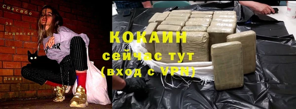 дурь Дмитриев