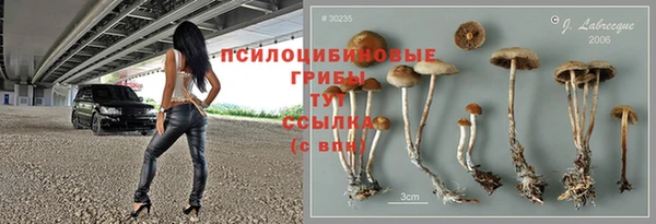 бутират Гусь-Хрустальный