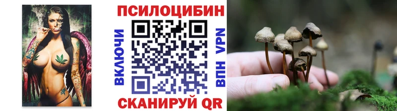Галлюциногенные грибы GOLDEN TEACHER наркота Венёв